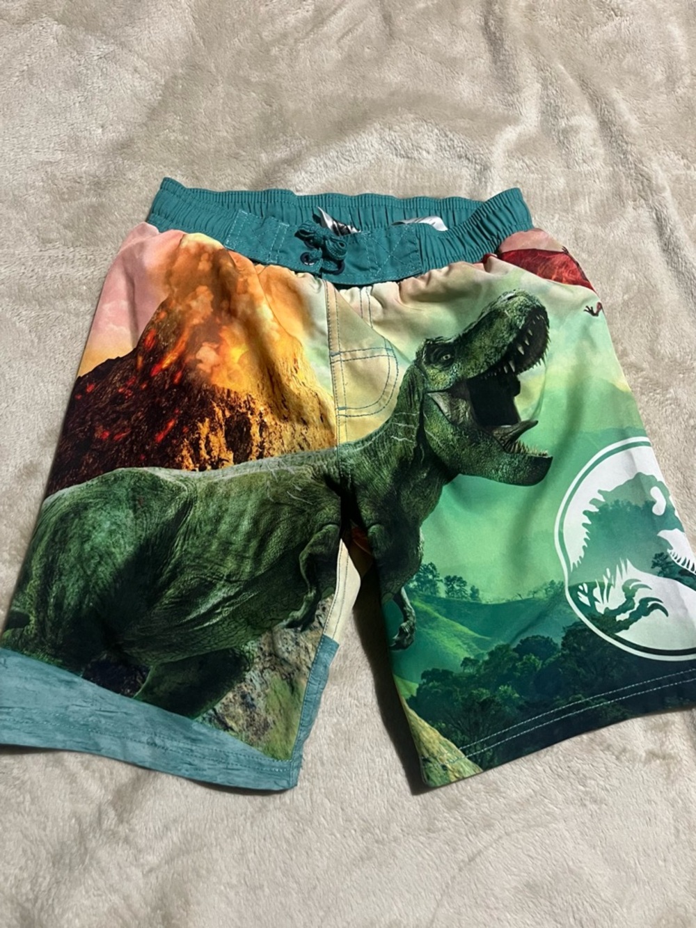 Jurassic Park Boys' Dinosaur Swim Trunks - Teal & Green
